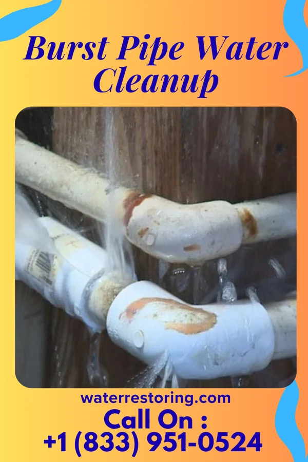 Burst Pipe Water Cleanup in Lyncourt, NY