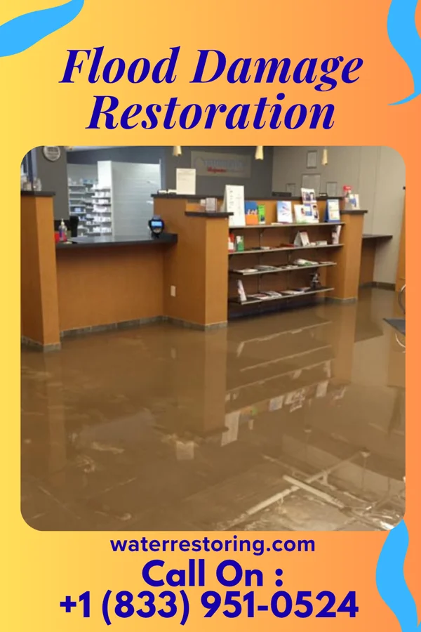 Flood Damage Restoration in Lyncourt, NY