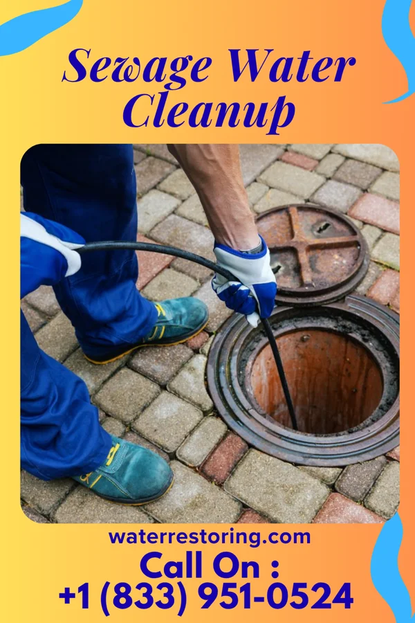 Sewage Water Cleanup in Lyncourt, NY